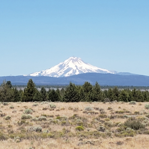 A snow-capped Cascade peak rising above high-desert juniper and sagebrush