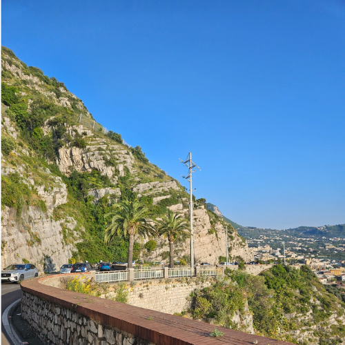 A cliffside road with palm trees above a coastal town