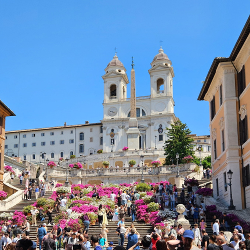 The Spanish Steps covered in pink azaleas beneath the Trinita dei Monti church